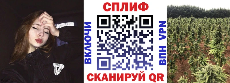 мега онион  Пыталово  Шишки марихуана SATIVA & INDICA  как найти закладки 